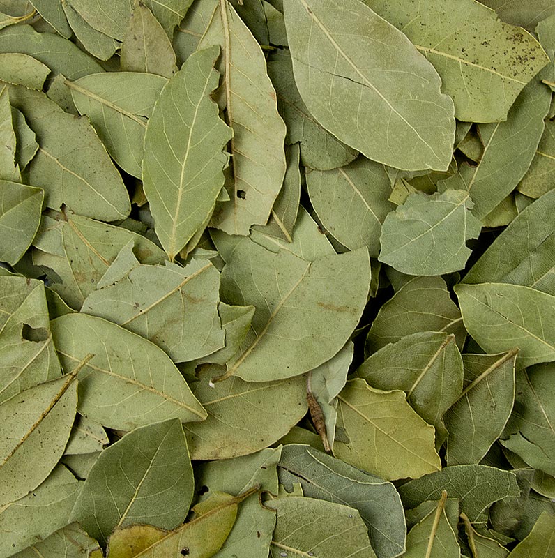 Laurierbladeren, heel, 1 kg - Gedroogde hele laurierblaadjes van hoge kwaliteit in verpakking van 1 kilogram