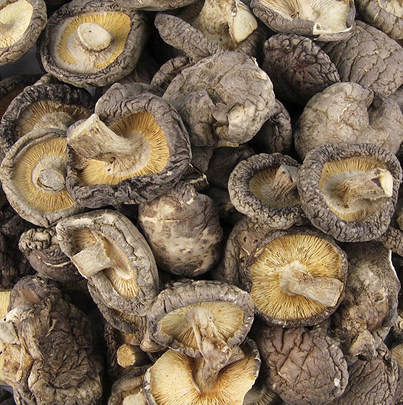 Shiitake paddenstoelen, Tongu, klein kaliber ø 3cm, Zhong-Hon-Gu, 1 kg - Vers en sappig Aziatisch paddenstoelen assortiment van hoge kwaliteit