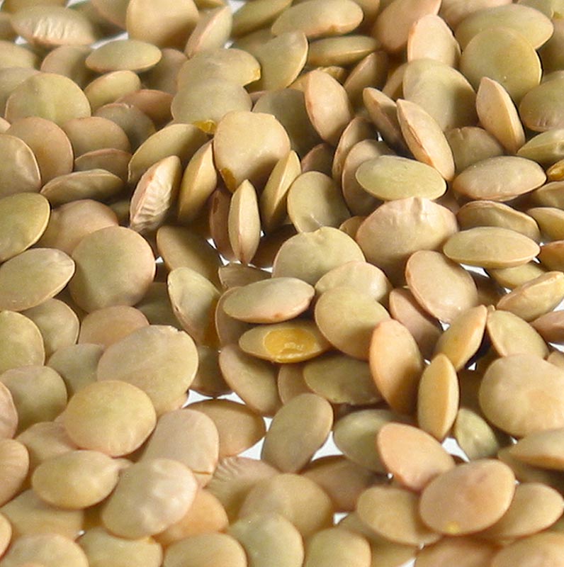 Linzen afgebeeld op een witte achtergrond, blond van kleur, medium formaat, afkomstig uit Frankrijk, verpakt in een zak van 5 kg