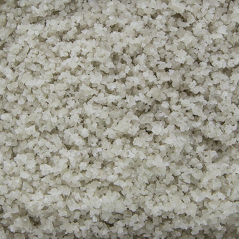 High-quality TradySel 1 kg Guerande sea salt, coarse and damp