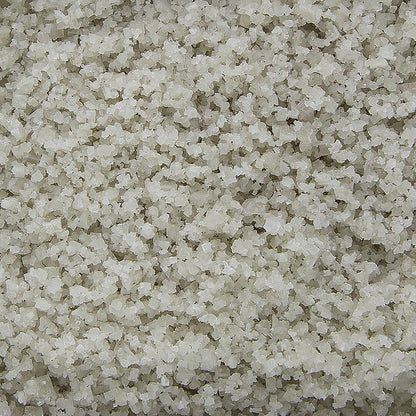 High-quality TradySel 1 kg Guerande sea salt, coarse and damp