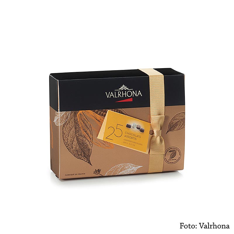 Assortment of 25 Valrhona fine praline mix chocolates in a 230g ballotin box