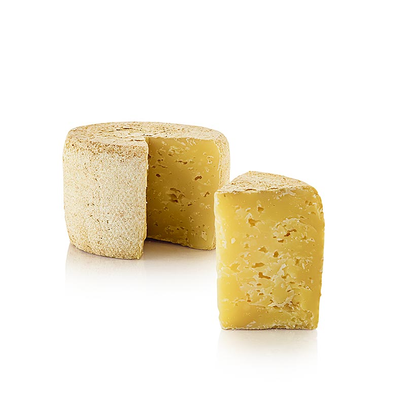 Organic 500g Deichkäse GOLD hard cheese displayed on a whole loaf of bread from Hof Backensholz